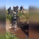 Щасливий порятунок кудлатого – у Нікополі з покинутого колодязя витягнули песика (відео)