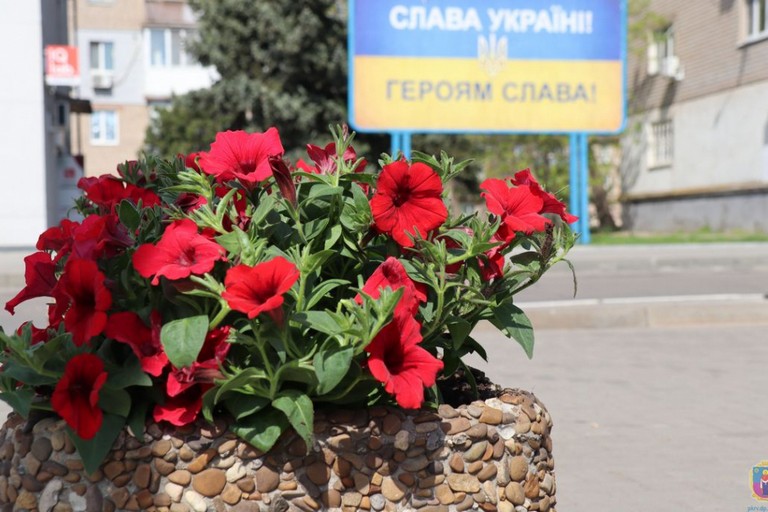 Несмотря на войну в Покрове высаживают цветы (фото)