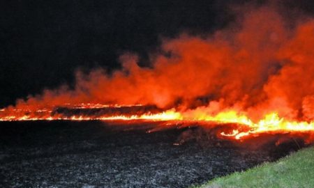 Орки продовжують тактику випаленої землі – Вілкул розповів про події на Криворізькому напрямку фронту