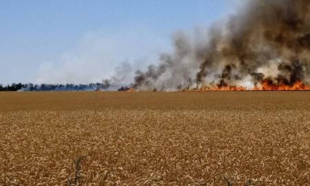 Ворог обстріляв Дніпропетровщину 15 липня: згоріло більше половини поля пшениці