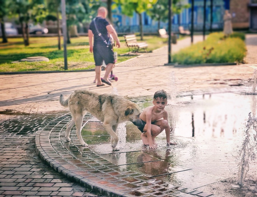 Спека у Нікополі: люди і тварини рятуються біля фонтанів (фото)