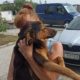 «Одне пряме попадання в притулок – і тварини загинуть» - у Нікополі просять евакуювати собак і котів