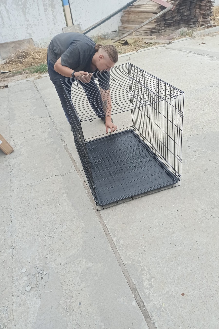 Нікопольський притулок для собак готується до евакуації частини тварин