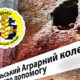 «Мав би святкувати 100-річний ювілей» - у Нікополі понівеченому обстрілами коледжу потрібна допомога