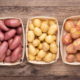 Мешканцям Покровської громади безкоштовно роздадуть картоплю: хто і як може отримати