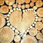 Заявки приймаються до 10 грудня: як і хто може отримати дрова у Нікополі