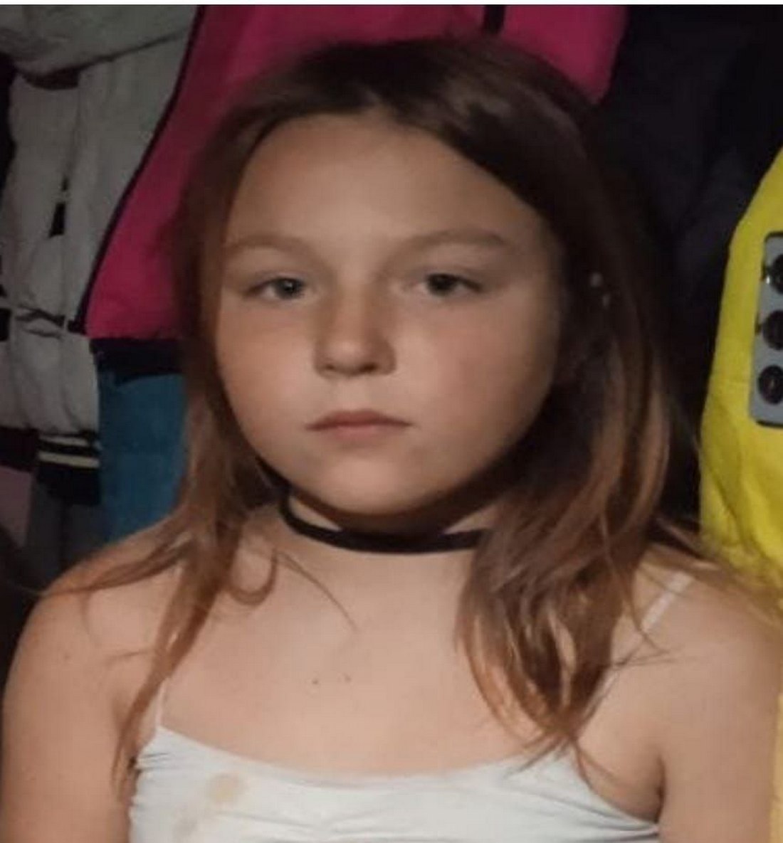 ОНОВЛЕНО. На Дніпропетровщині зникла безвісти 10-річна дівчинка. Допоможіть знайти!
