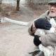 На Дніпропетровщині 69-річний дідусь, ризикуючи життям, врятував лебедя з крижаної пастки