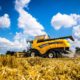 Зібрали понад 3 мільйони тонн зерна: які успіхи мають аграрії Дніпропетровщини
