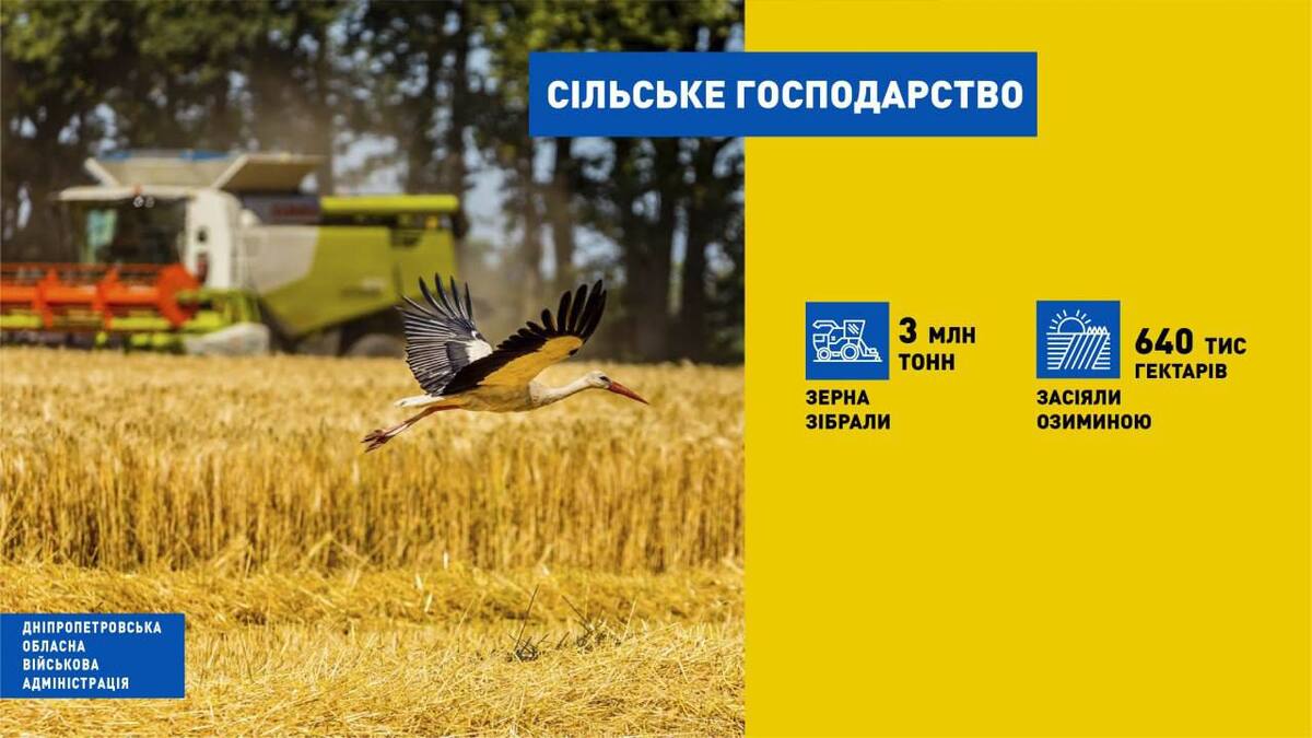Зібрали понад 3 мільйони тонн зерна: які успіхи мають аграрії Дніпропетровщини