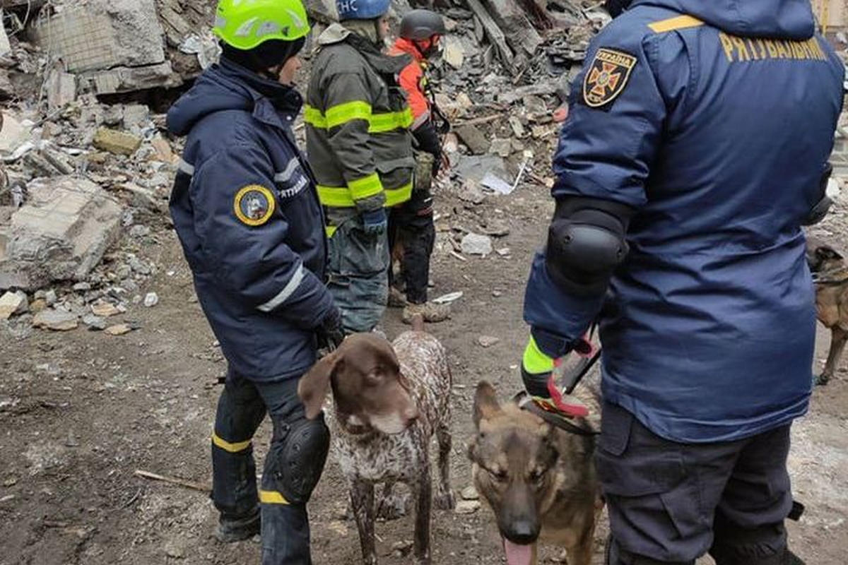 Рятувальники подякували «носикам», які допомагали шукати людей під завалами у Дніпрі