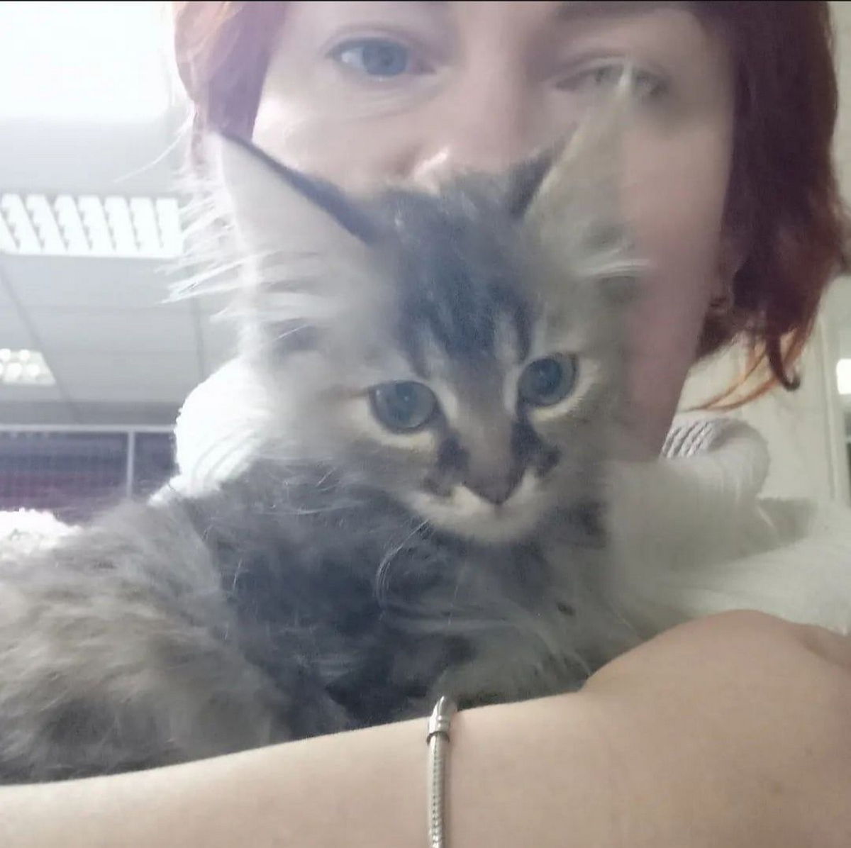 Батьки Анастасії, яка дивом врятувалася у Дніпрі, загинули – мама була волонтеркою, допомагала котикам
