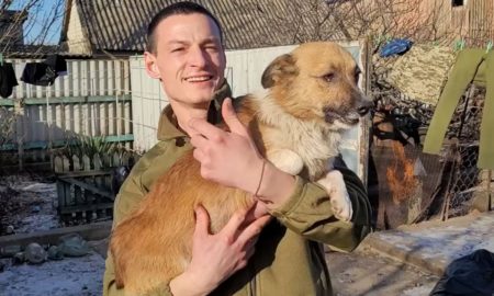 «Віддали останні три сосиски»: поранений пес втік від окупантів до бійців з Дніпропетровщини