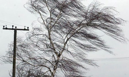У Нікополі 5 січня очікується сильний вітер – перший рівень небезпечності
