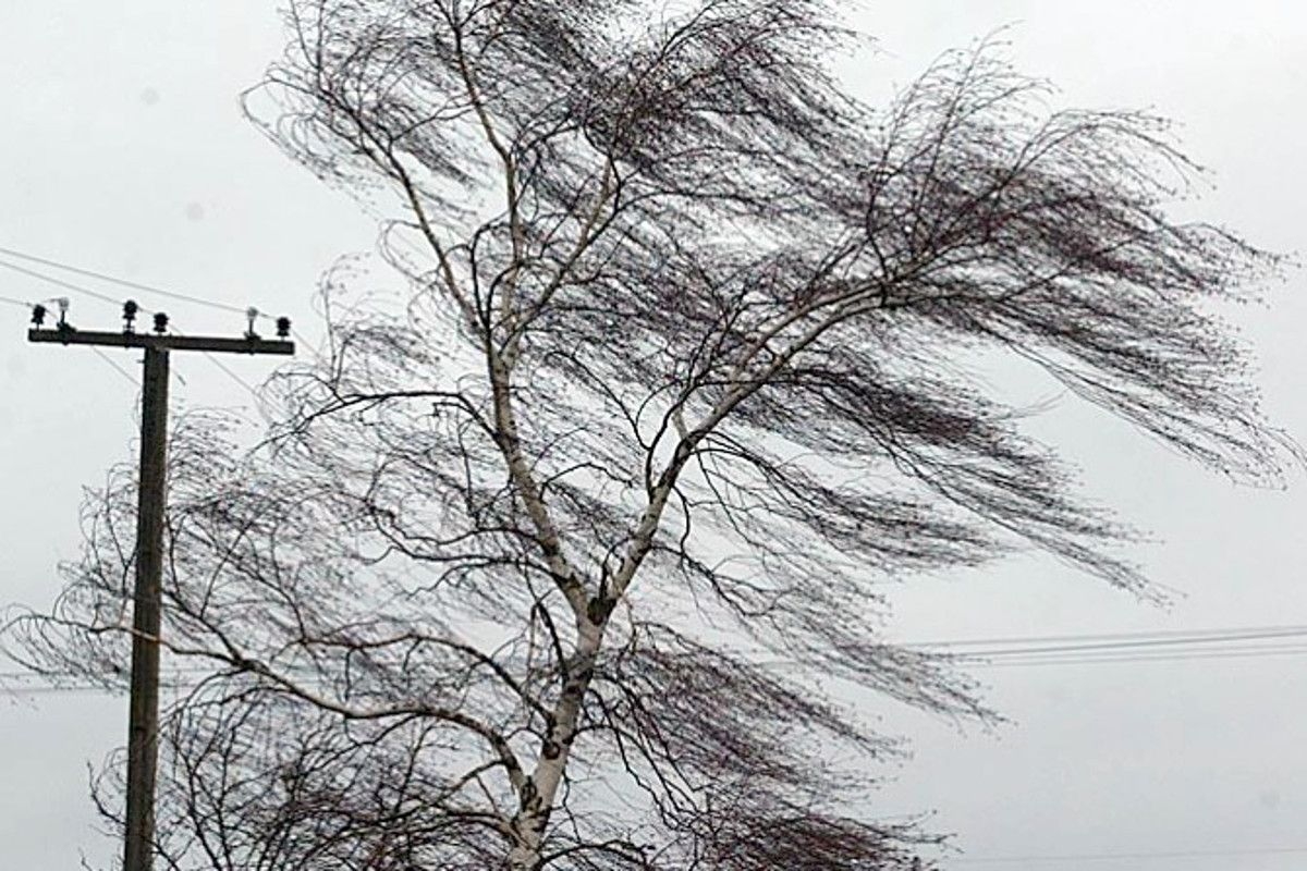 У Нікополі 5 січня очікується сильний вітер – перший рівень небезпечності