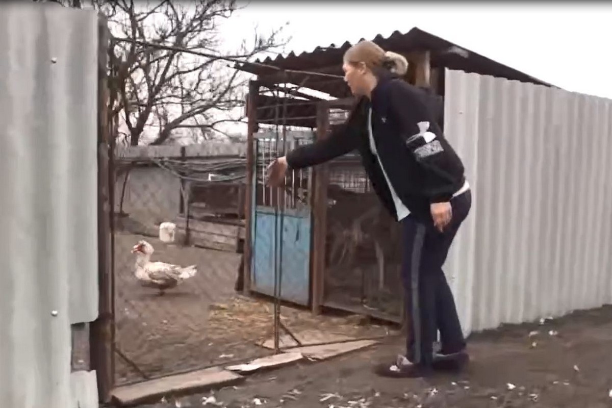 Без води та під постійним вогнем: як виживає на Нікопольщині село Вищетарасівка (відео)