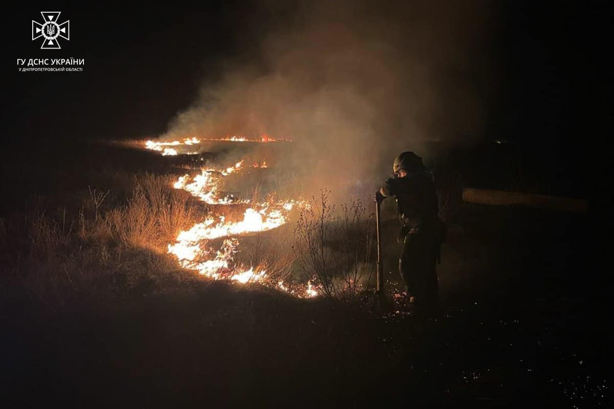 У Нікопольському і ще 6 районах області виникли масштабні пожежі в екосистемах