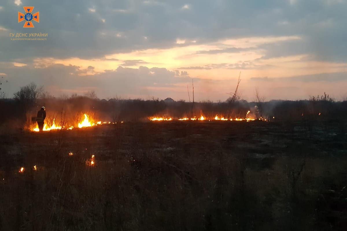 Від початку року на Дніпропетровщині виникло 427 пожеж в екосистемах