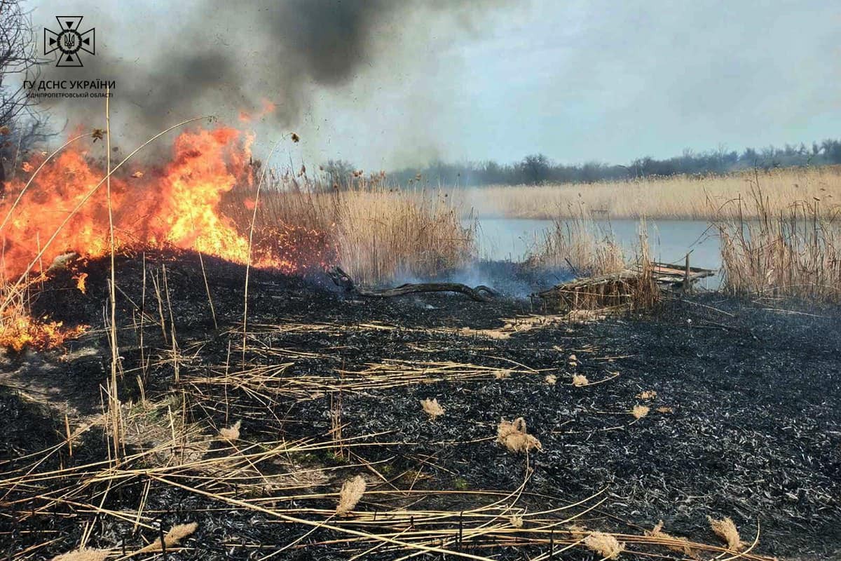 У Нікопольському і ще 6 районах області виникли масштабні пожежі в екосистемах