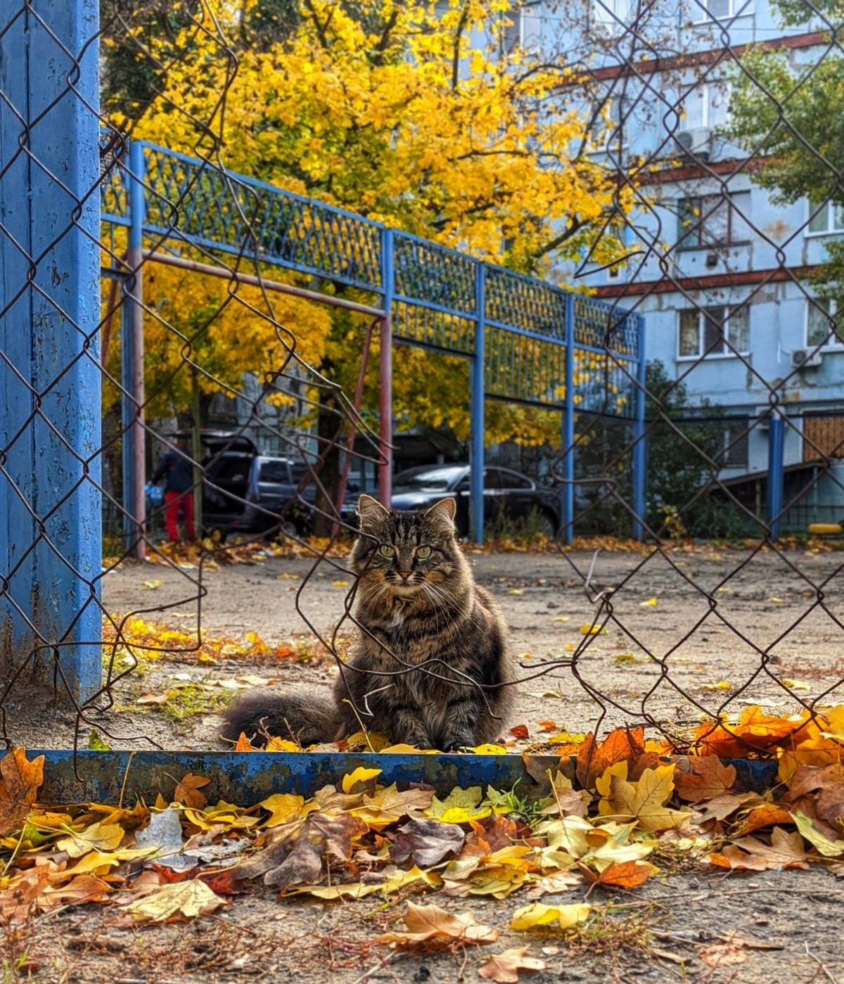Кото-Нікополь – фоторепортаж з вулиць незламного міста