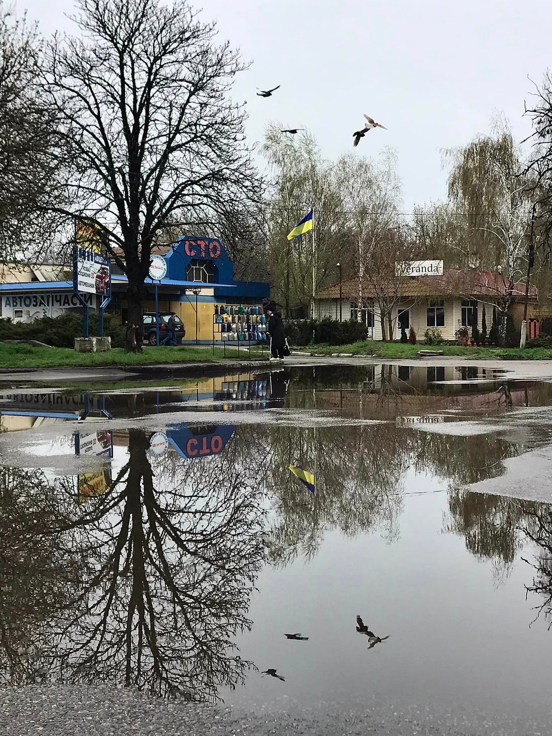 Як виглядає Нікополь після дощу 12 квітня, показав місцевий фотограф (фото)