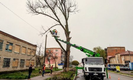 У Марганці ліквідовують старі тополі за допомогою нової техніки (фото)