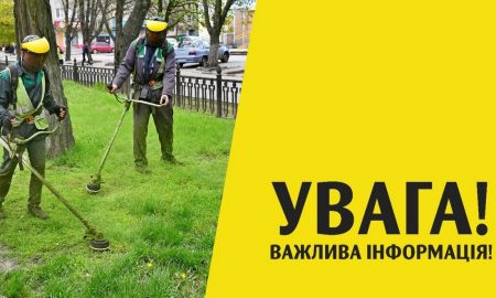 Хто і де у Нікополі має косити траву: роз’яснення влади