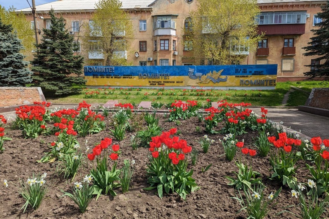 У Марганці під гуркіт канонади висаджують квіти – 500 петуній з'явилися у сквері Шевченка (фото)
