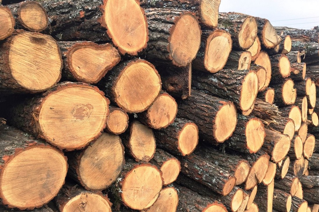 Родинам з прифронтових громад Дніпропетровщини безкоштовно роздадуть дрова до кінця квітня