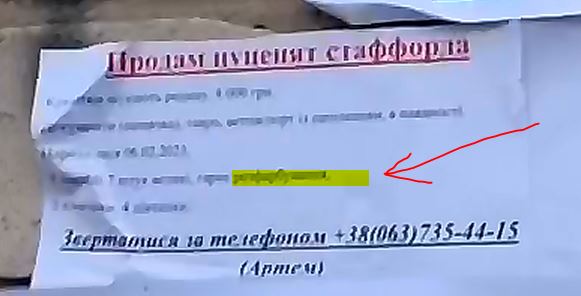 Відео з нібито "проросійськими листівками у Нікополі" - детальний аналіз