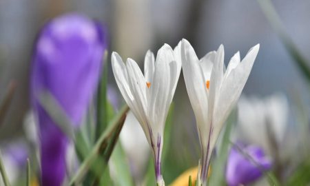 Ніч 3 квітня на Дніпропетровщині пройшла без обстрілів