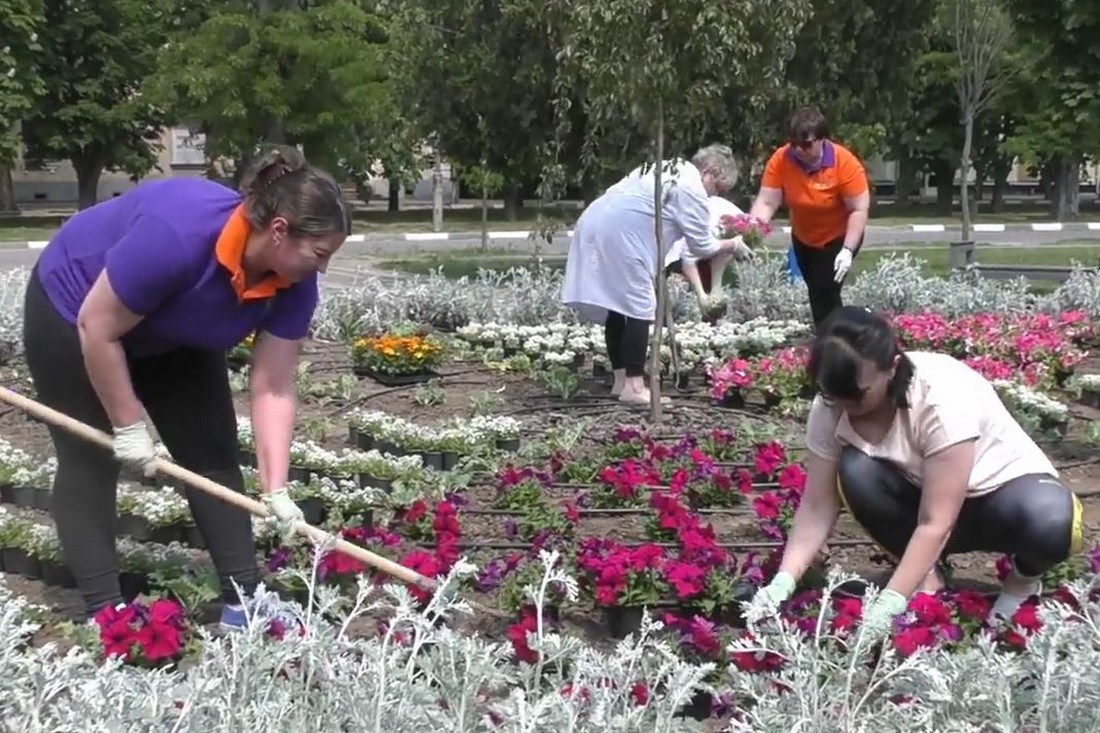 Більше 1000 саджанців квітів подарувала Нікополю родина благодійників (відео)