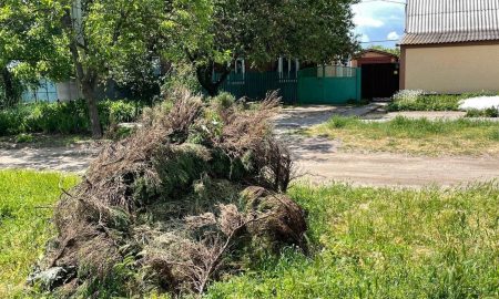 У Нікополі мешканці створюють звалища посеред вулиці (фото)