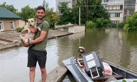 Волонтери з Дніпра врятували на Херсонщині 500 тварин: розшукують власників 50 з них