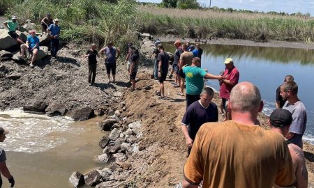 Екокатастрофа на Дніпропетровщині: в Мар’янському загинуло понад 850 кілограм риби