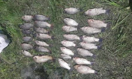 У Нікополі на Каховському водосховищі порушник виловив риби на понад 70 тис. грн збитків
