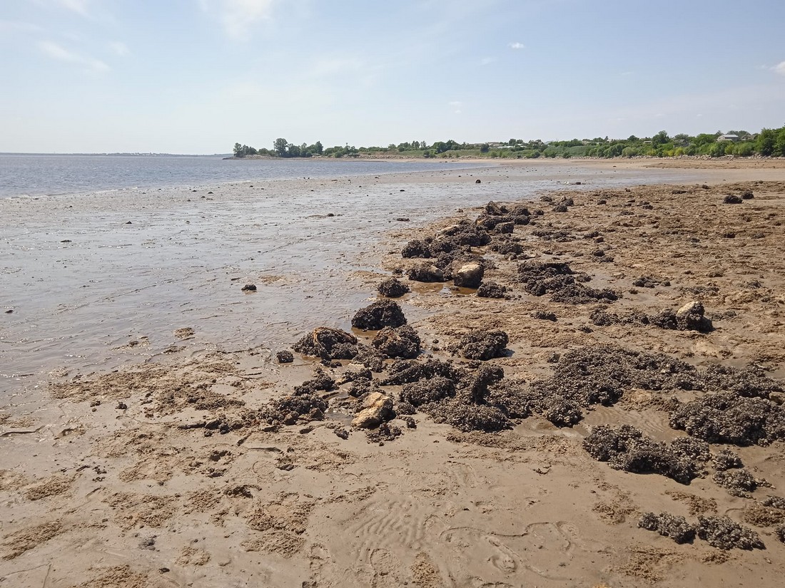 що знаходять на дні Каховського водосховища у Нікополі