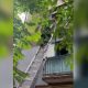 ВІДЕО: У Кривому Розі рятувальники зняли з балкону хлопчиків віком 3 і 5 років, які були вдома самі