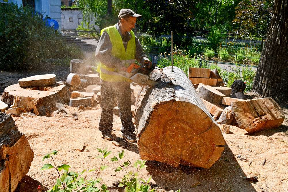Дороги, покіс трави, знесення аварійних дерев, ремонт бордюрів –  про роботи з благоустрою Нікополя на цьому тижні