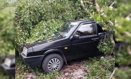 Негода накоїла лиха: в Покрові, Кривому Розі і Дніпровському районі рятувальники усували наслідки