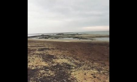 Як у Нікополі виглядає новий берег Дніпра, що раніше був дном Каховського водосховища (відео)
