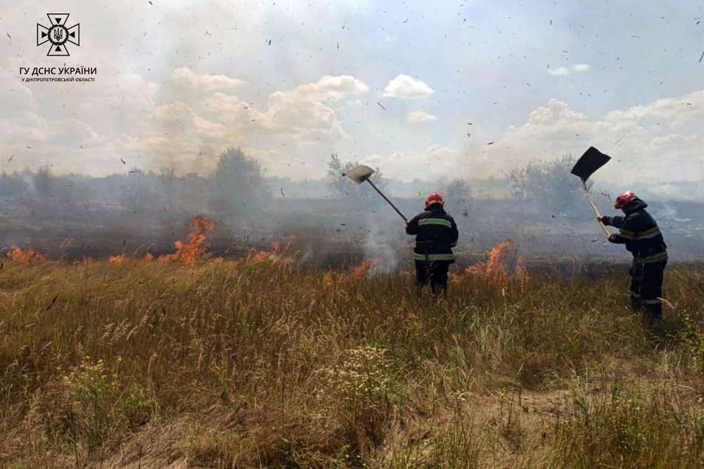 Бережімо хліб від вогню! На Дніпропетровщині за добу сталося 35 пожеж в екосистемах