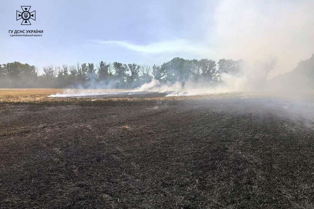 Бережімо хліб від вогню! На Дніпропетровщині за добу сталося 35 пожеж в екосистемах