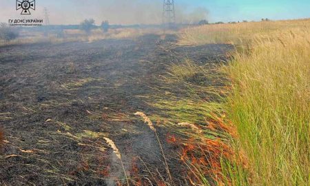 Бережімо хліб від вогню! На Дніпропетровщині за добу сталося 35 пожеж в екосистемах