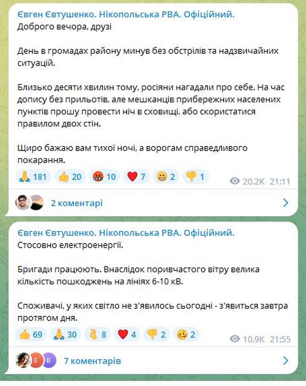 «Велика кількість пошкоджень» - відсутність світла на Нікопольщині прокоментував Євтушенко