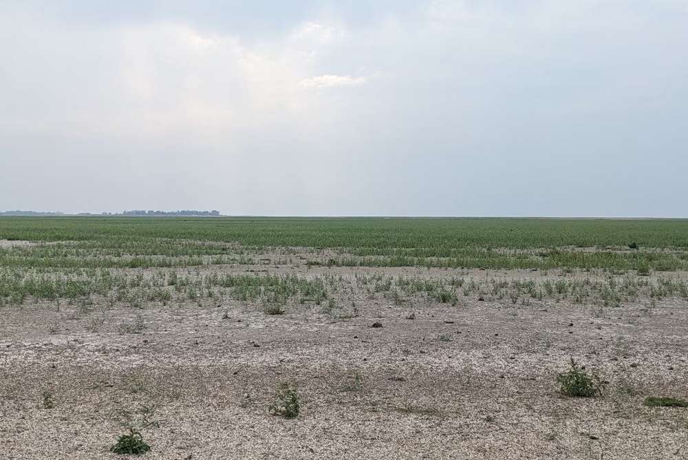 територія Каховського водосховища