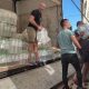Нікопольщина отримала ще 8112 пляшок питної води від благодійників