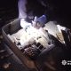 На Дніпропетровщині у 31-річного мешканця виявили три мішки з порохом та інші боєприпаси (відео)