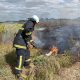 327 пожеж в екосистемах на Дніпропетровщині сталося на минулому тижні