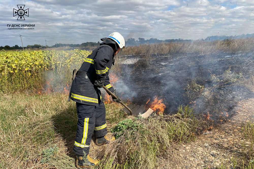 327 пожеж в екосистемах на Дніпропетровщині сталося на минулому тижні